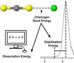 Spectroscopic Investigation of Chalcogen Bonding: Halide–Carbon Disulfide Complexes