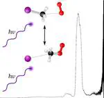 Photoelectron Spectroscopy and High-Level Ab Initio Calculations of the Iodide–Methylperoxy Radical Complex