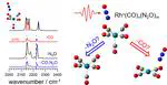A Combined Infrared and Computational Study of Gas-Phase Mixed-Ligand Rhodium Complexes: Rh(CO)n(N2O)m+ (n = 1–5, m = 1–4)