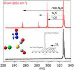 Infrared spectra and fragmentation dynamics of isotopologue-selective mixed-ligand complexes