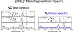 Infrared Photodissociation Spectroscopy of Cationic Nitric Oxide Clusters, [(NO)n]+, and [NO2(NO)n]+