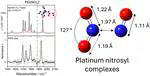 Structure, spectra, and intracluster chemistry of gas-phase platinum nitrosyl ion–molecule complexes